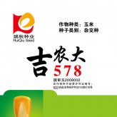吉農(nóng)大578